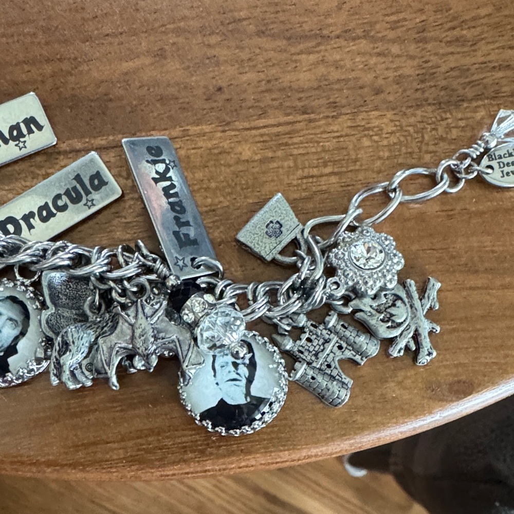 Silver Charm Bracelet - Picture 5 of 5
